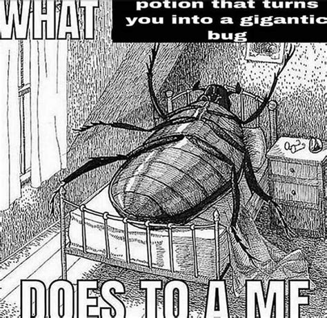 giant cockroach in bed meme.